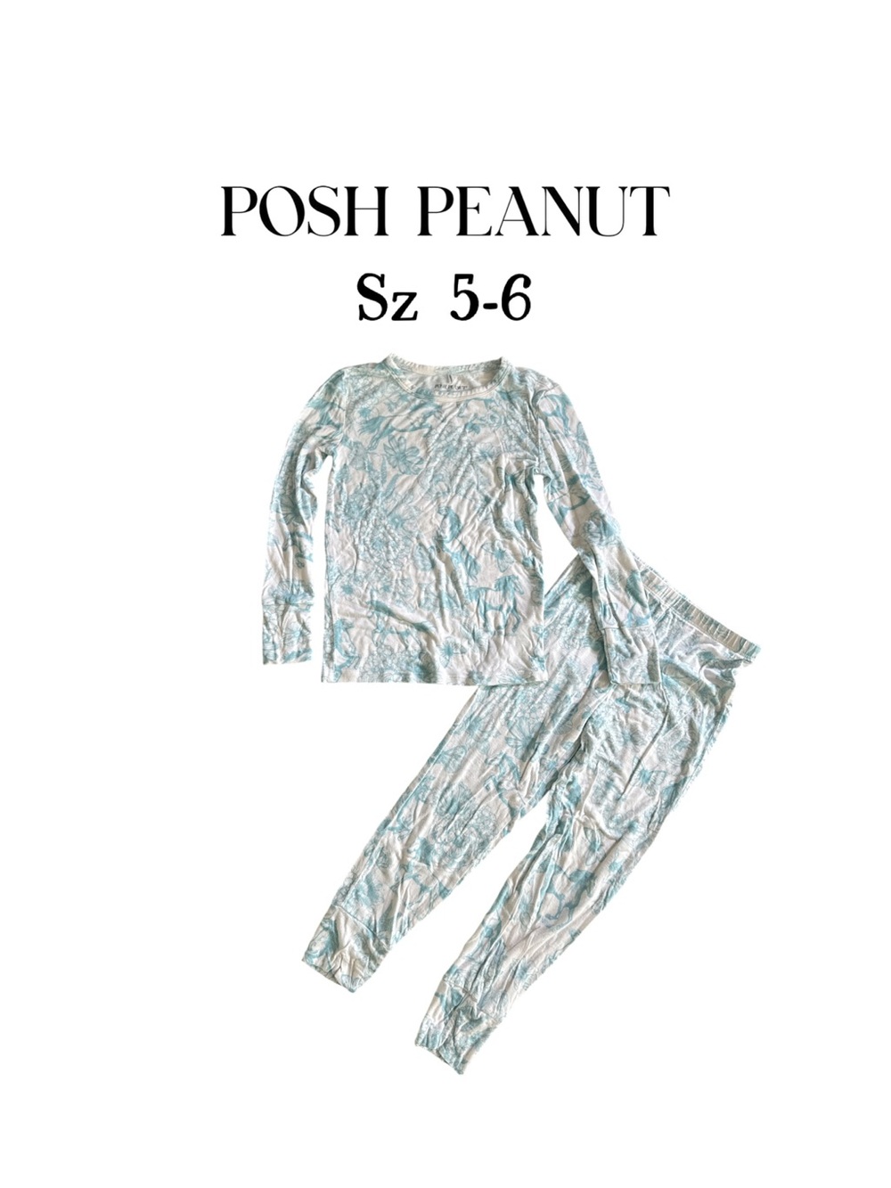 Posh Peanut 2-Piece sz 5-6  Pajama Set | Aqua Blue Floral Horse & Butterfly